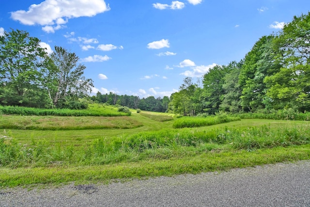 LOT88 & Rd, Wellsboro, PA 16901 - photo 8
