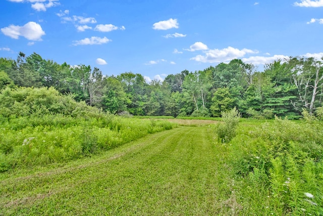 LOT88 & Rd, Wellsboro, PA 16901 - photo 25