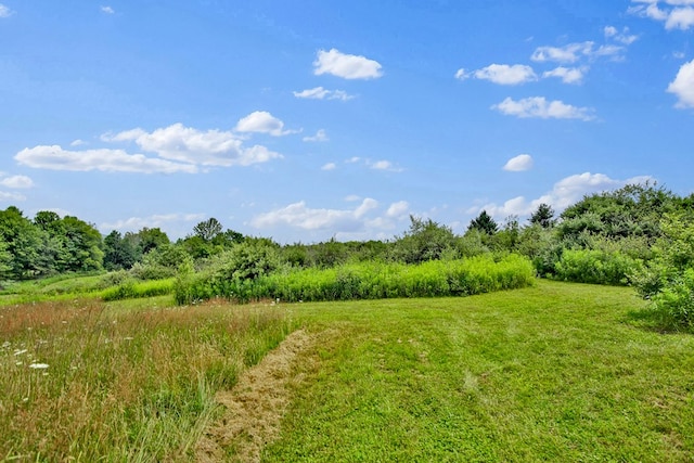 LOT88 & Rd, Wellsboro, PA 16901 - photo 16
