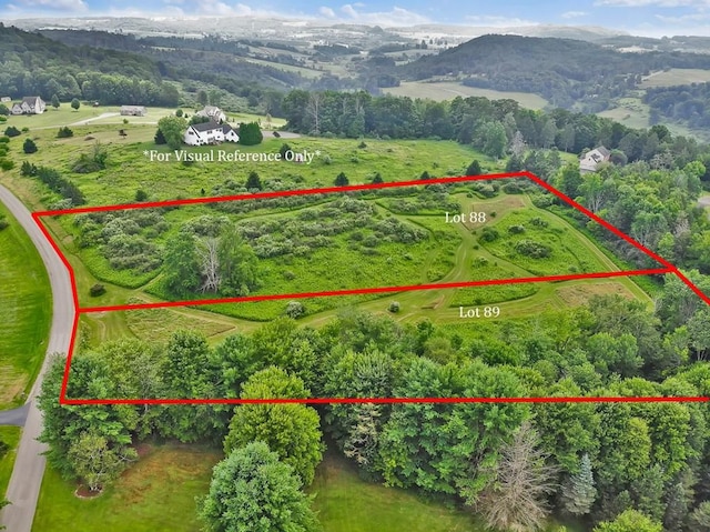 LOT88 & Rd, Wellsboro, PA 16901 - photo 1