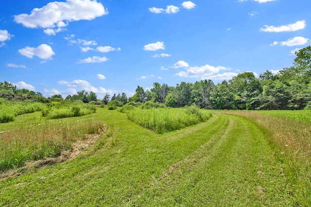 LOT88 & Rd, Wellsboro, PA 16901 - photo 28