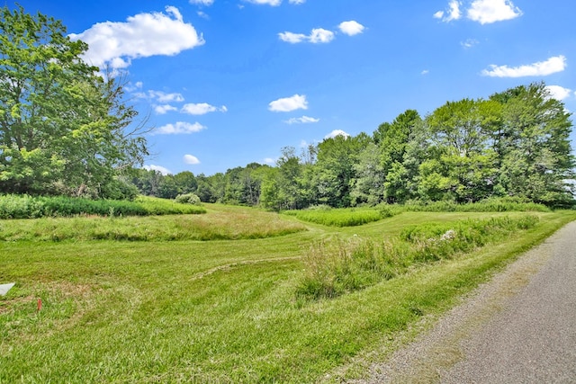 LOT88 & Rd, Wellsboro, PA 16901 - photo 12