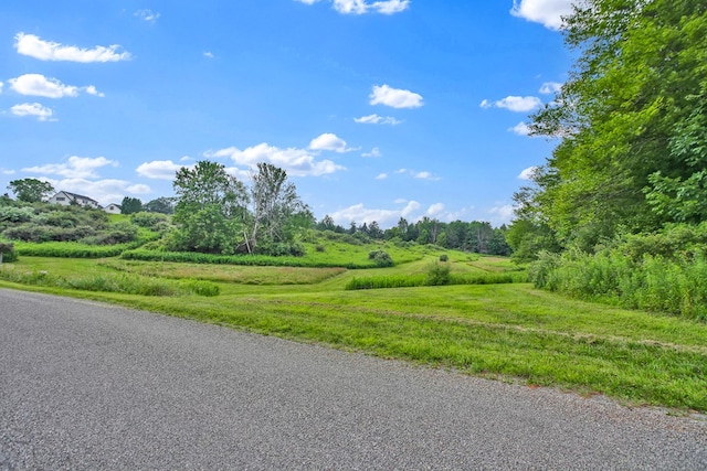 LOT88 & Rd, Wellsboro, PA 16901 - photo 6