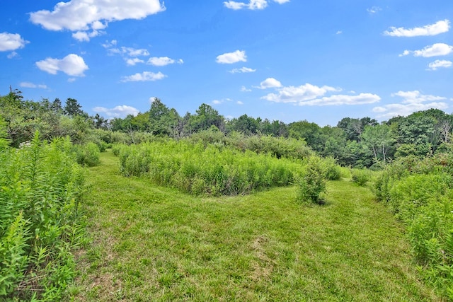 LOT88 & Rd, Wellsboro, PA 16901 - photo 14