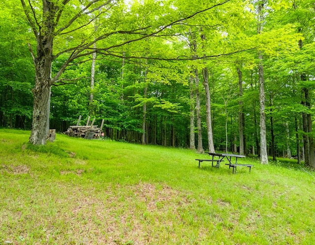 289 Woodcock Rd, Westfield, PA 16950 - photo 23