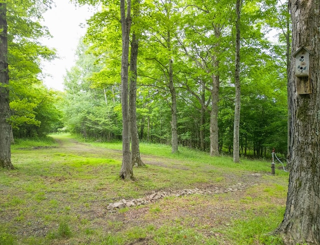 289 Woodcock Rd, Westfield, PA 16950 - photo 21