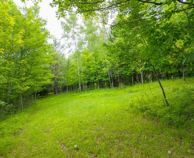 289 Woodcock Rd, Westfield, PA 16950 - photo 24