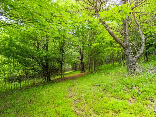 289 Woodcock Rd, Westfield, PA 16950 - photo 25