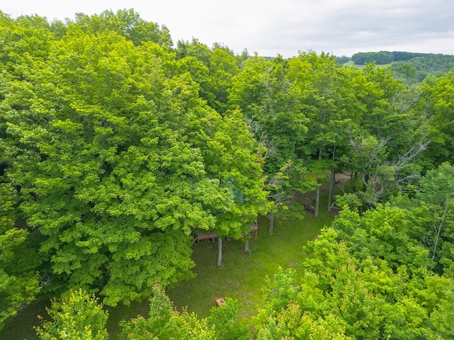 289 Woodcock Rd, Westfield, PA 16950 - photo 28
