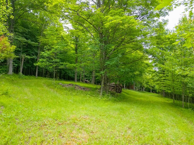 289 Woodcock Rd, Westfield, PA 16950 - photo 26