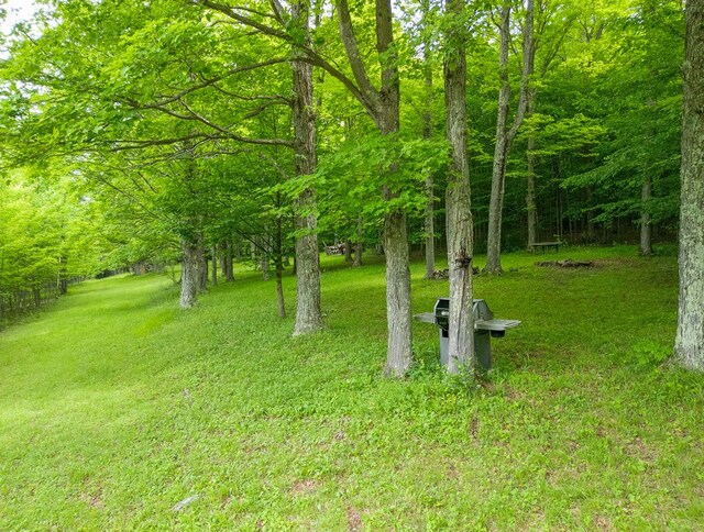 289 Woodcock Rd, Westfield, PA 16950 - photo 22