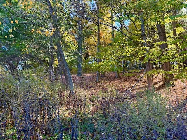 0 Parmeter Rd, Millerton PA, 16936 land for sale