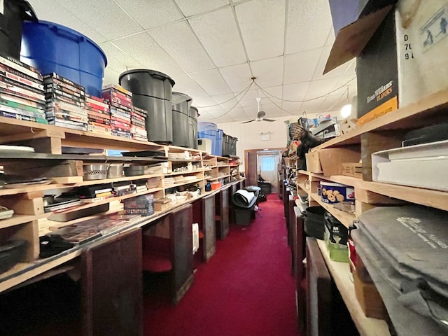 storage area with ceiling fan