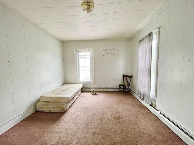 unfurnished room with carpet flooring, a wealth of natural light, and wood walls