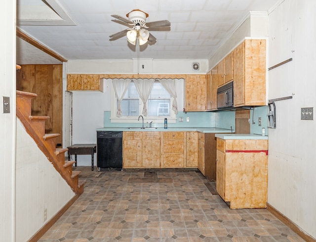 kitchen with ceiling fan, sink, and black appliances