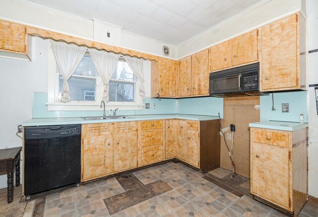 kitchen with black appliances and sink