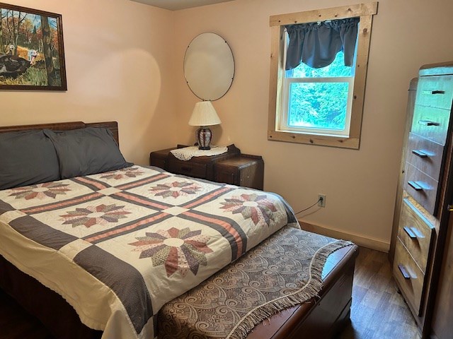 bedroom featuring dark wood-type flooring