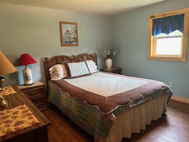 bedroom featuring dark wood-type flooring