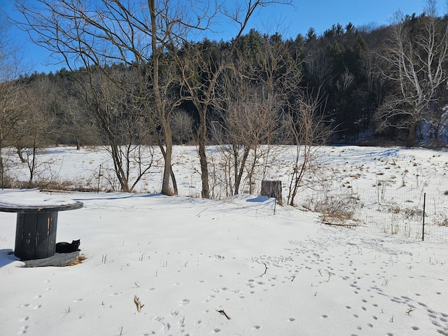 view of snowy yard