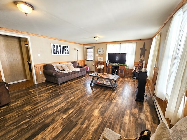 living area with dark wood-style flooring, a wainscoted wall, crown molding, and wood walls