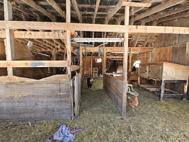 view of horse barn