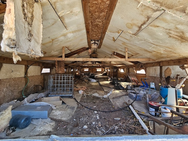 miscellaneous room with lofted ceiling