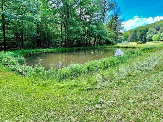 357 Reed Run, Austin, PA 16720 - photo 39