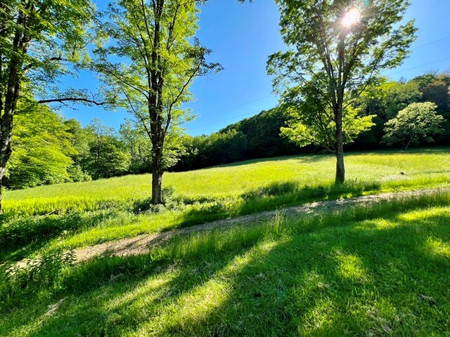 357 Reed Run, Austin, PA 16720 - photo 34