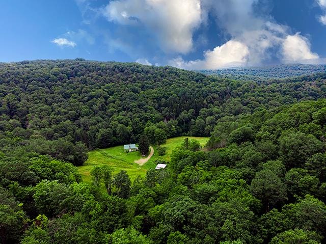 bird's eye view