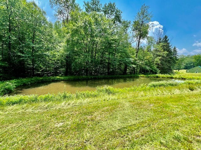 357 Reed Run, Austin, PA 16720 - photo 41