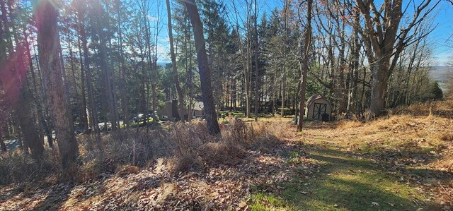 - Townview Drive, Mansfield, PA 16933 - photo 5