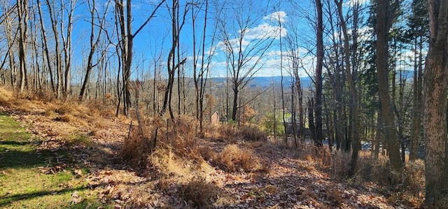 - Townview Drive, Mansfield, PA 16933 - photo 6
