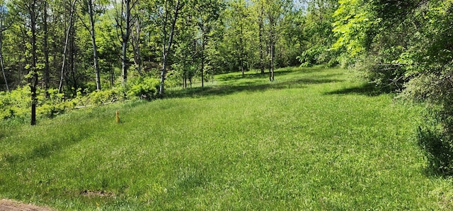 - Townview Drive, Mansfield, PA 16933 - photo 3