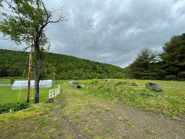 1571 State Route 44n, Coudersport, PA 16915 - view of yard featuring a forest view, a greenhouse, an outbuilding, and a view of countryside
