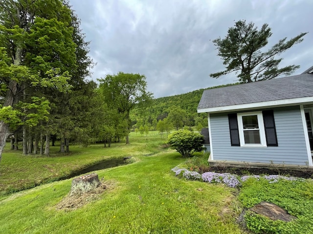 1571 State Route 44n, Coudersport, PA 16915 - view of green lawn