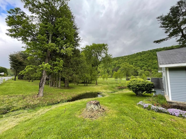 1571 State Route 44n, Coudersport, PA 16915 - view of green lawn