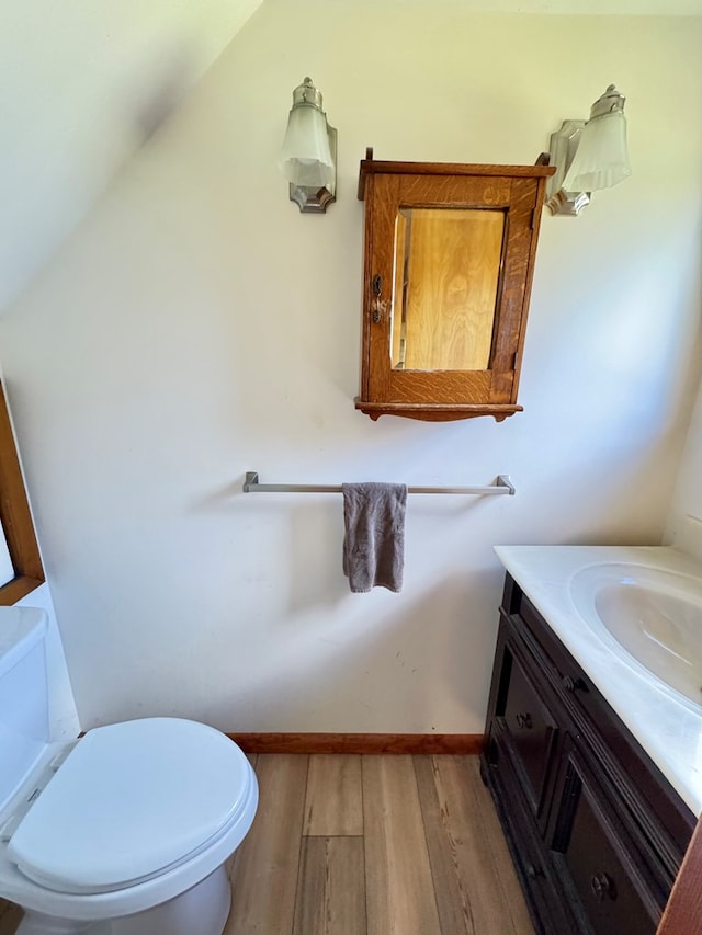 bathroom featuring vanity, toilet, and wood-type flooring