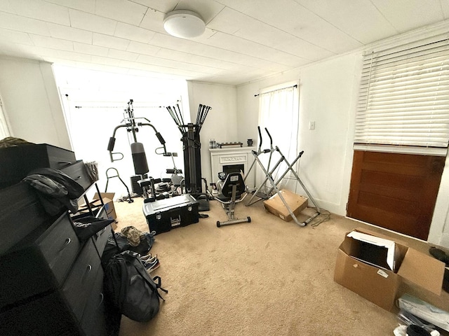 workout room featuring carpet floors