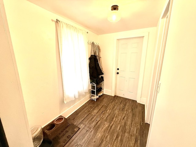 interior space featuring dark hardwood / wood-style floors