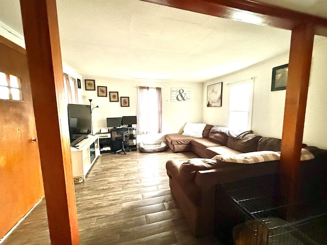 living room with dark wood-type flooring