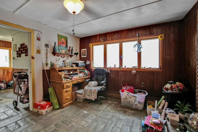 miscellaneous room with plenty of natural light and wood walls