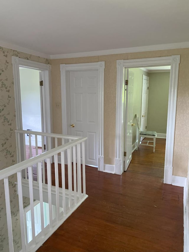 hallway with dark wood-type flooring and ornamental molding