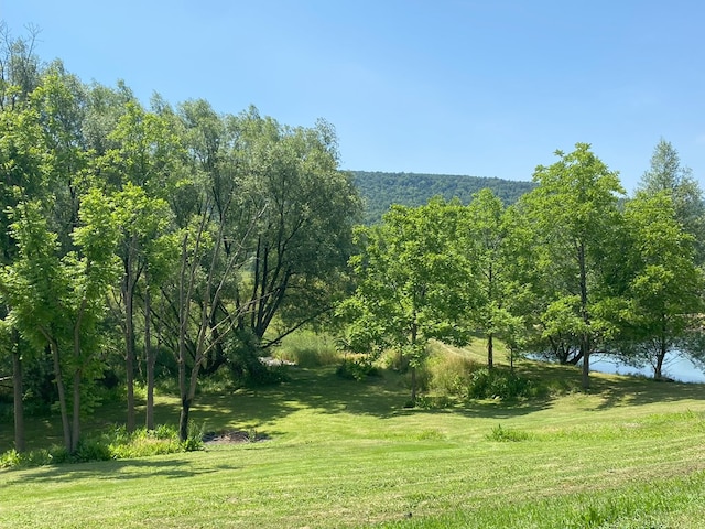 17800 Rte 6, Towanda, PA 18848 - view of green lawn