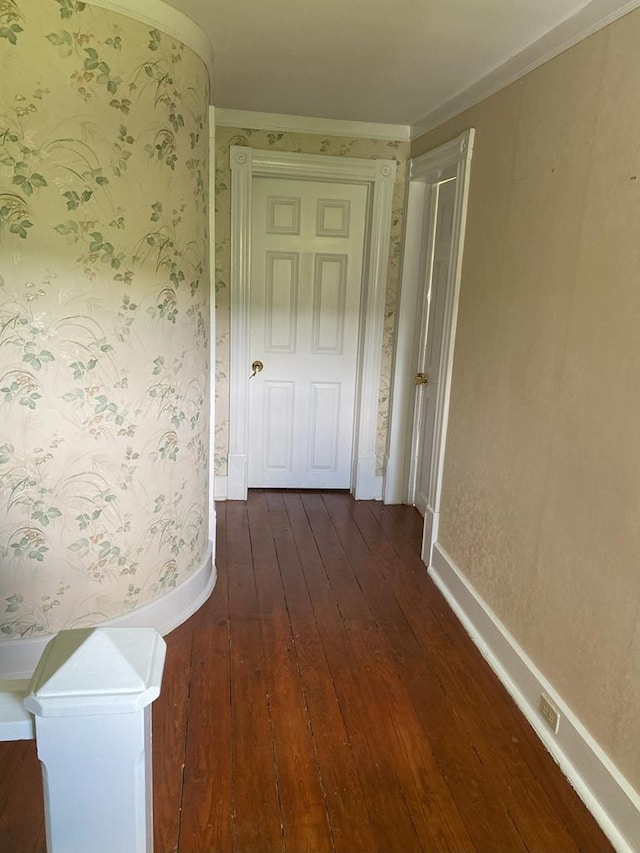 hall with crown molding and dark hardwood / wood-style floors