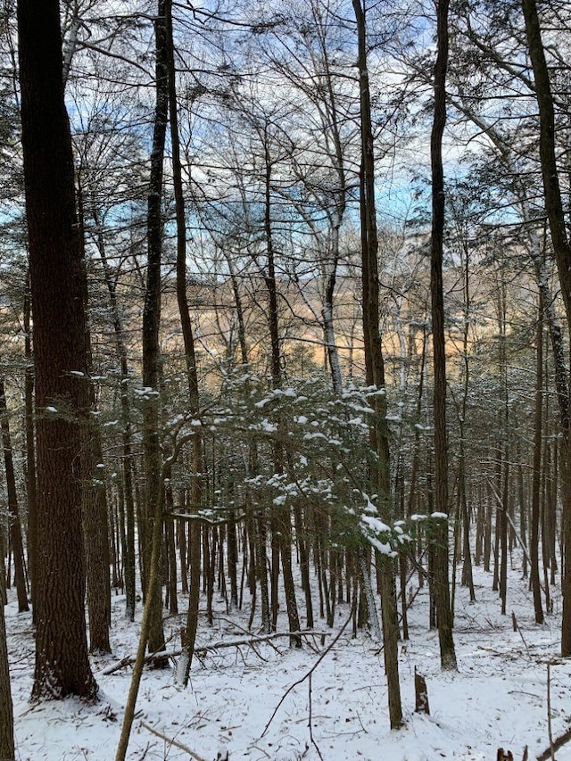 view of snow covered land