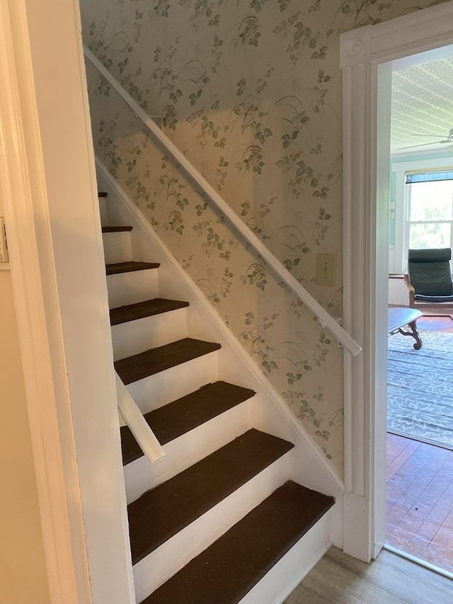 stairs featuring wood-type flooring