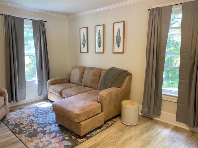 living room featuring light wood-type flooring and crown molding