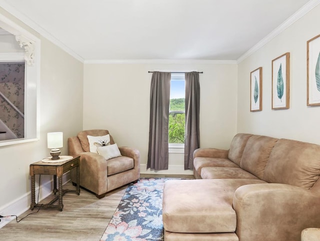 17800 Rte 6, Towanda, PA 18848 - living room with ornamental molding, light wood-style floors, and baseboards