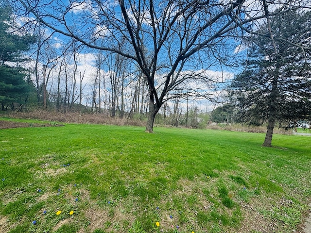 425 Gateway Industrial Park Rd, Athens, PA 18810 - view of yard