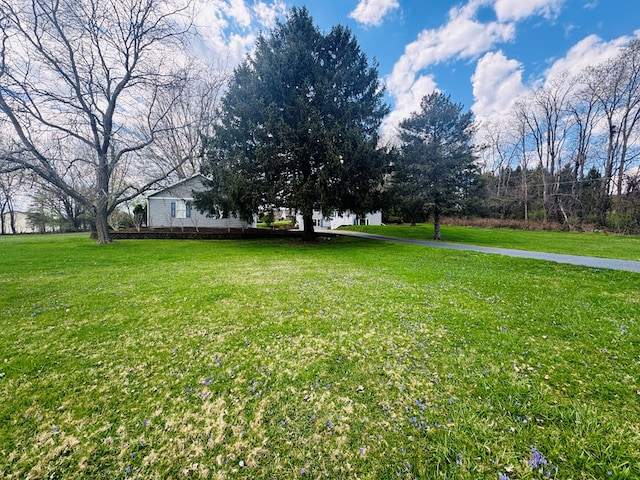 425 Gateway Industrial Park Rd, Athens, PA 18810 - view of yard